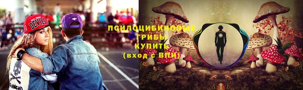 герыч Вяземский