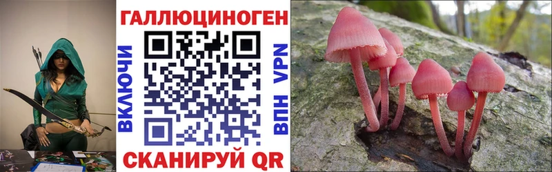Псилоцибиновые грибы Psilocybe  Джанкой 